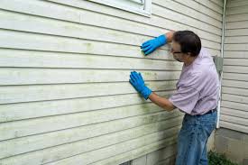 Affordable Siding Repair and Maintenance Services in Slaughter, LA